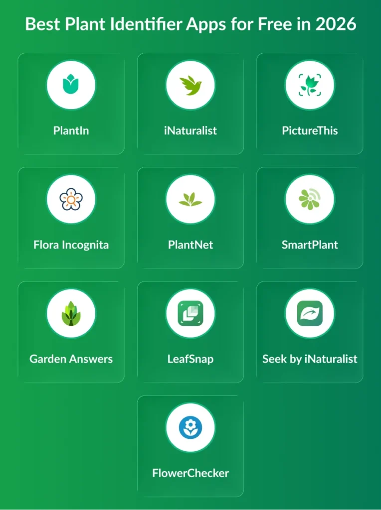Plant Identification App