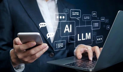 Text-Based LLMs