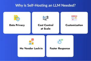 Why is Self-Hosting an LLM Needed